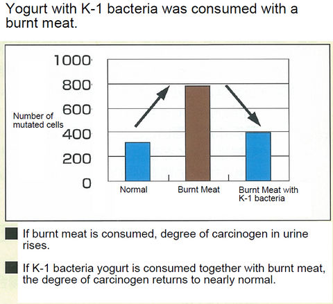 lactobacillus casei k-1 probiotics detox clinical study