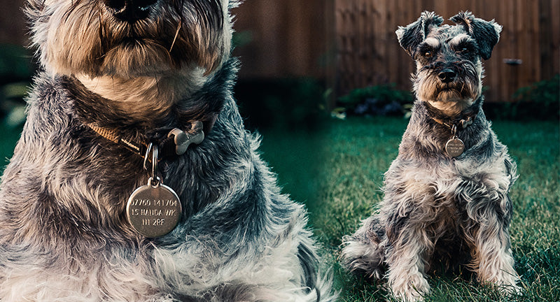 Army Dad - You Are Loved Custom Dog Tag Necklace