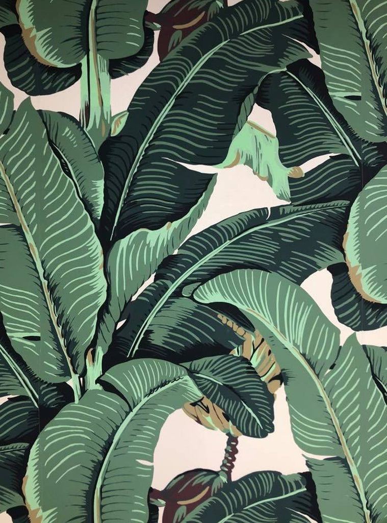 The Iconic Beverly Hills Banana Leaf Wallpaper  Oxford Olive Green   Designer Wallcoverings and Fabrics