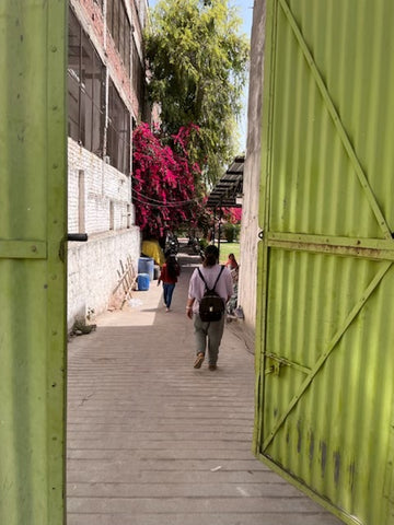 A back shot of a woman walking through a green gate into a textile factory in India. There are pink bougainvilles in full bloom far at the back. 