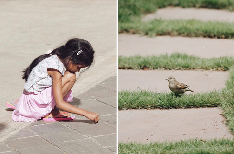 A collage of two images part of a photo story on memories of childhood by photographer Nirmala Mayur Patil. The image on left is of a little girl sitting and intently making art on a pavement. The image on the right is of a sparrow sitting on a garden pathway.  