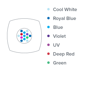 AI Prime HD LEDs