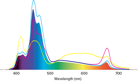 AI Hydra 52 HD Spectrum