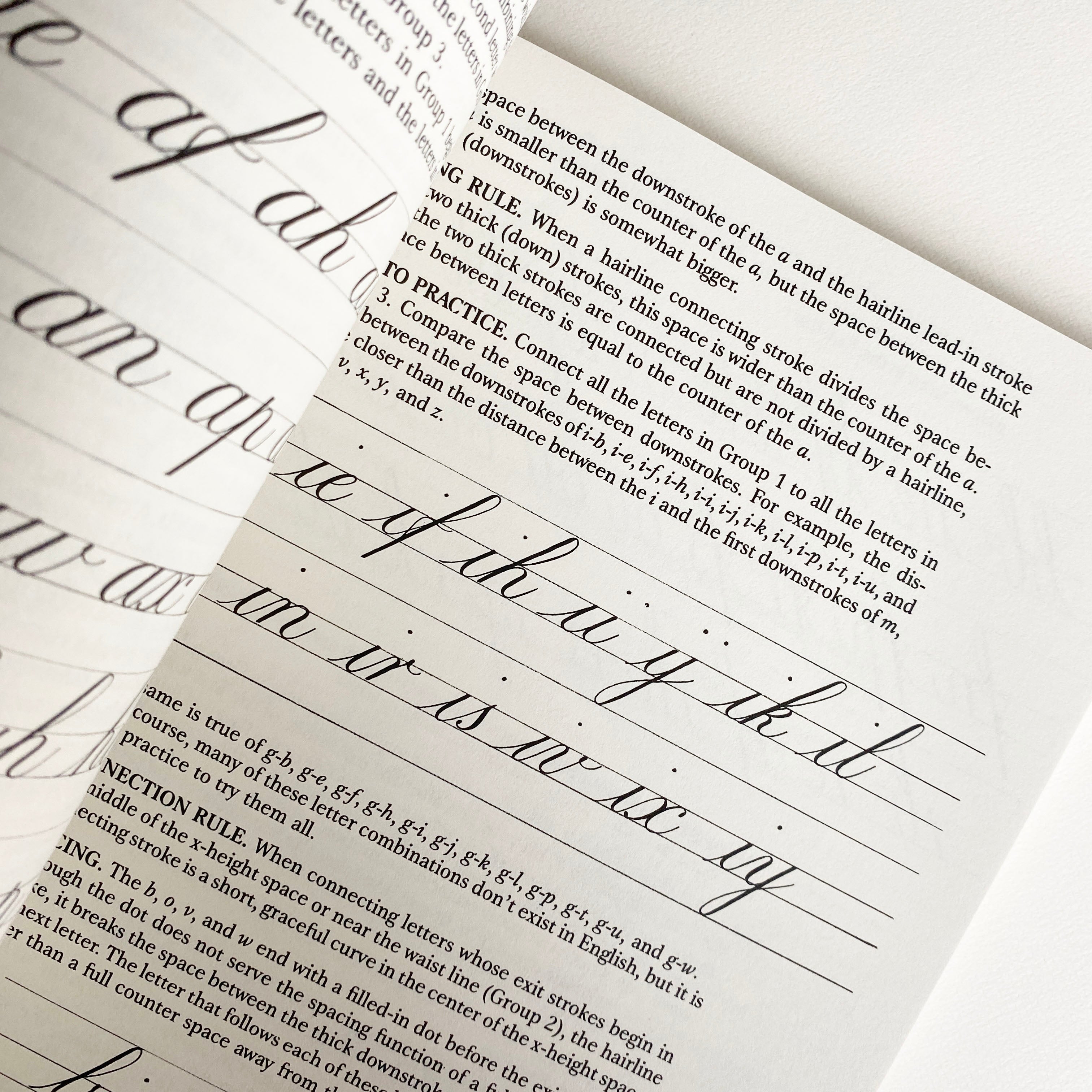 Mastering Copperplate Calligraphy Book – Meticulous Ink