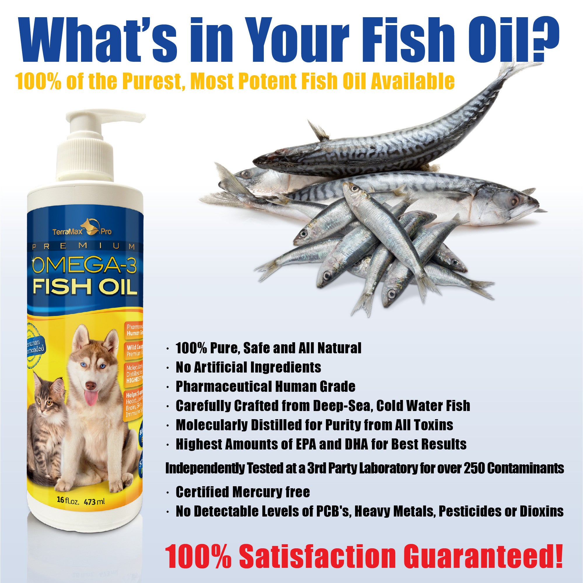 fish oil for dogs and cats