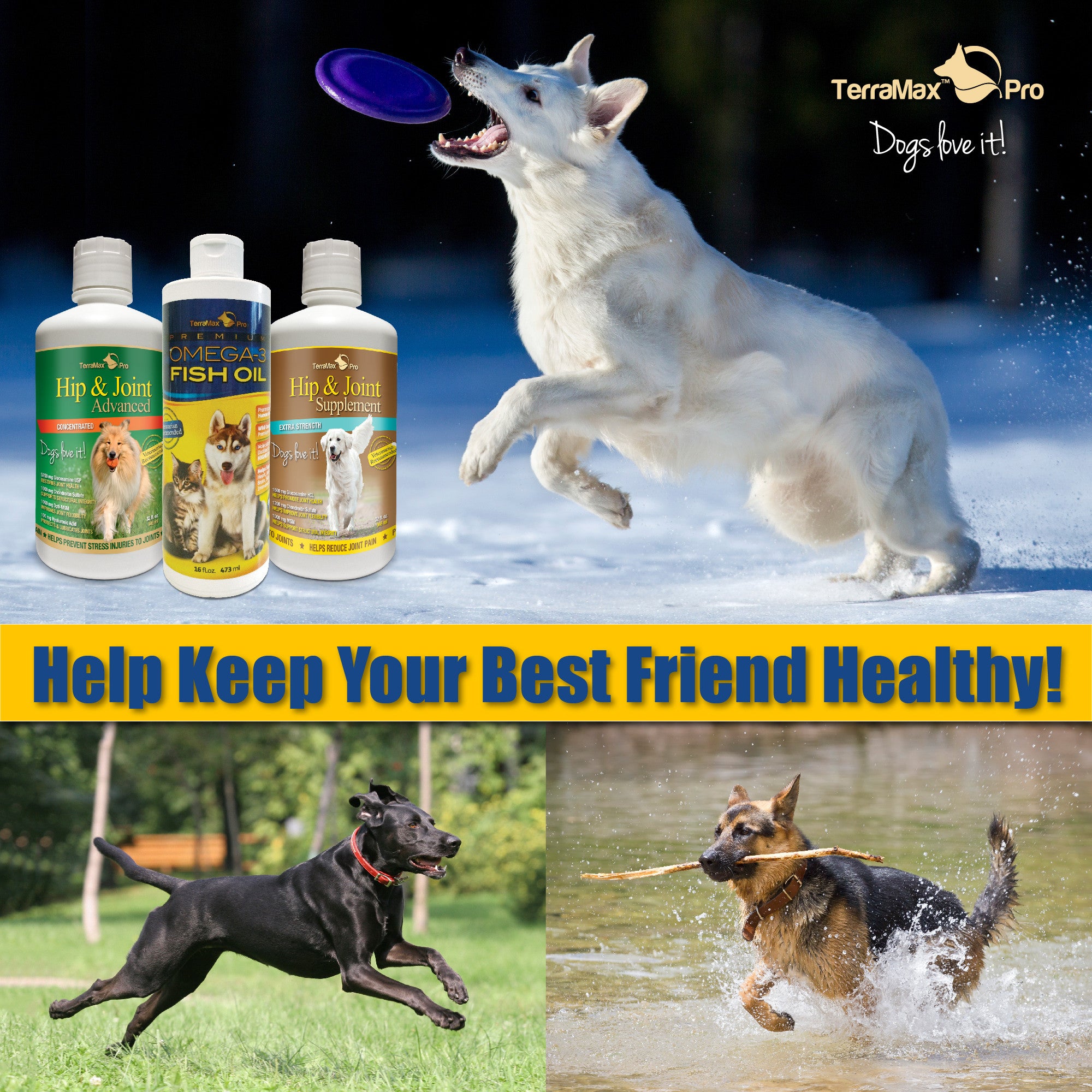 whats the best hip and joint supplement for dogs