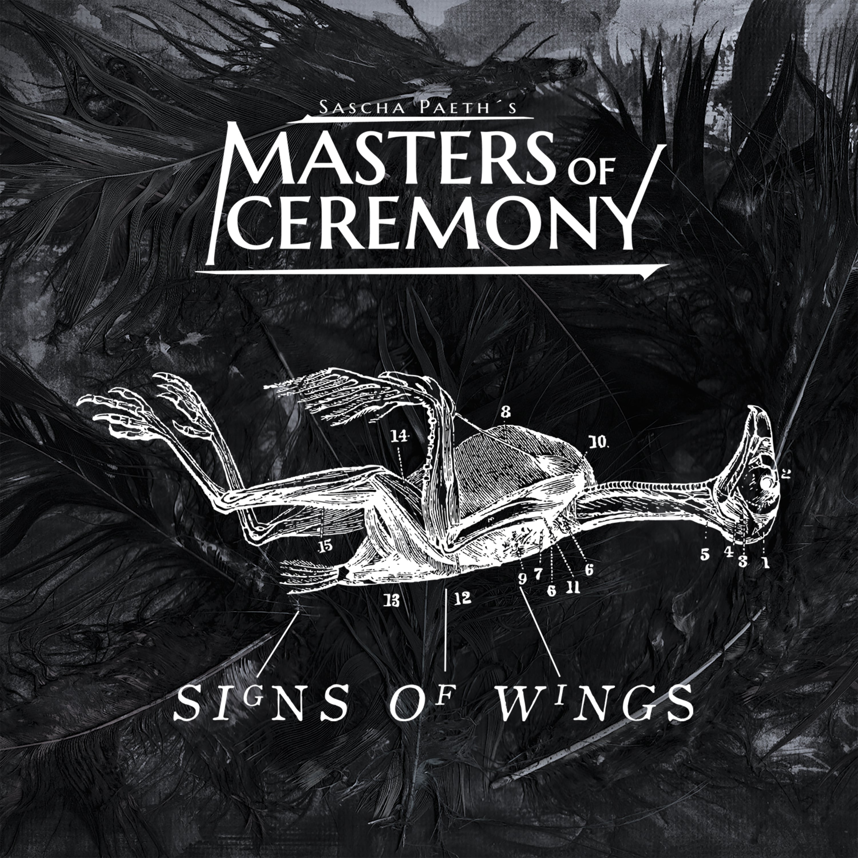 Sascha Paeth's Masters of Cremeony - Signs of Wings (2019)