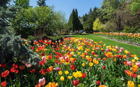 spring garden tours, bibler gardens, kalispell montana, montana living magazine, flowers in bloom