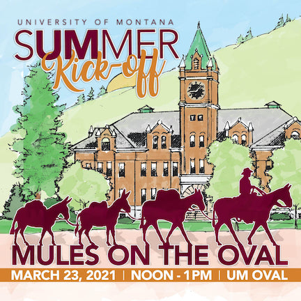 Mules on the Oval at university of montana, montana living magazine, um summer courses, mule pack train montana