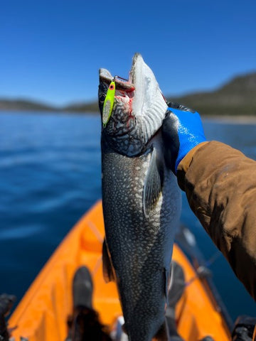 Zimmer tackle, flathead lake fishing report, montana living