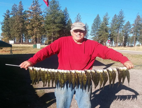 richard zimmer flathead lake fishing whitefish report, montana living