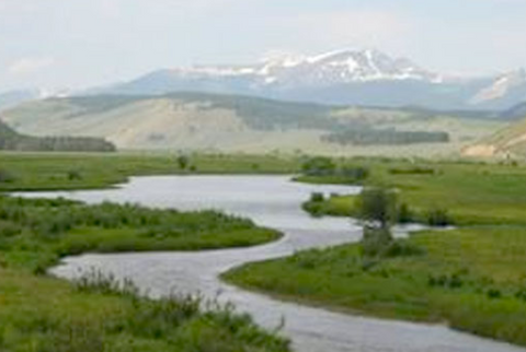 arctic grayling, red rocks lake national wildlife refuge, big hole river montana, dillon montana, montana living