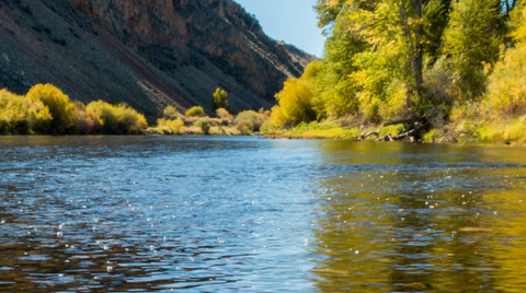 upper missouri river, montana living, fly fishing in montana, beaverhead, ruby, big hole, madison rivers trout decline