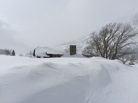 snow plowing going to the sun road glacier national park, montana living