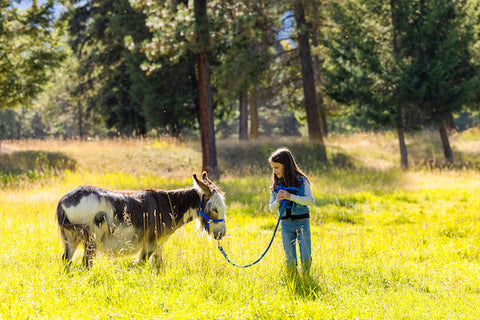 girl with pony, alpine falls resort, alberton montana, montana living magazine family resorts near missoula