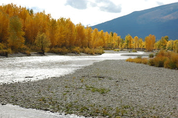 montana bitterroot river, EPA protection plan, montana living, fall scenic of river