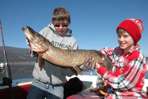 fishermen with pike swan  lake