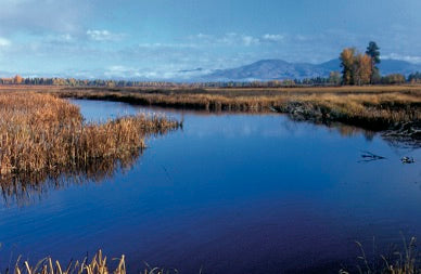 lee metcalf refuge in stevensville montana, bitterroot valley, montana living