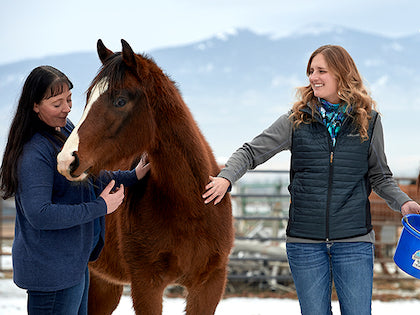 montana veterinarian shortage, WIMU program, montana living magazine