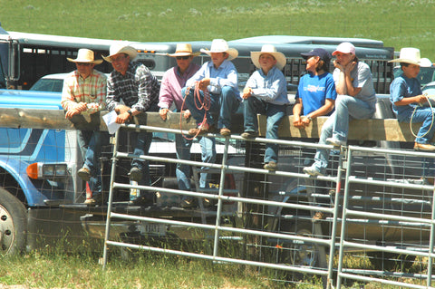 cowboys on fence, bucking horse with cowboy, custer montana ranch rodeo, montana living magazine