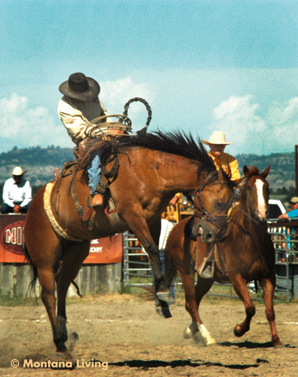 rodeo rider, bucking bronc, bucking horse with cowboy, custer montana ranch rodeo, montana living magazine