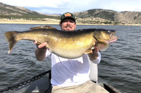 montana state record fish, montana walleye state record, trevor johnson helena, holter lake fishing, montana living, montana state fish records