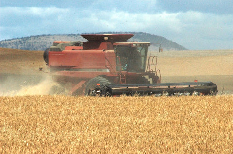 montana wheat farmer three forks montana, 2021  montana drought agricultural statistics, USDA, NASS, Montana Living