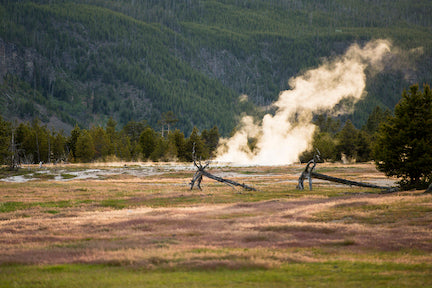 geysers of yellowstone national park, montana state university researcher cathy whitlock, montana living magazine