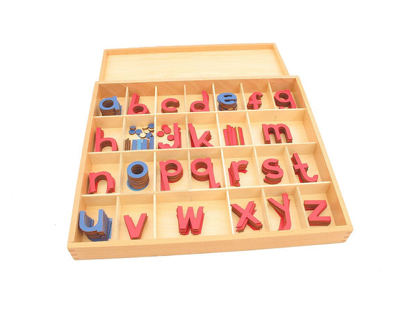 Small Movable Alphabets with Box – Pink Montessori