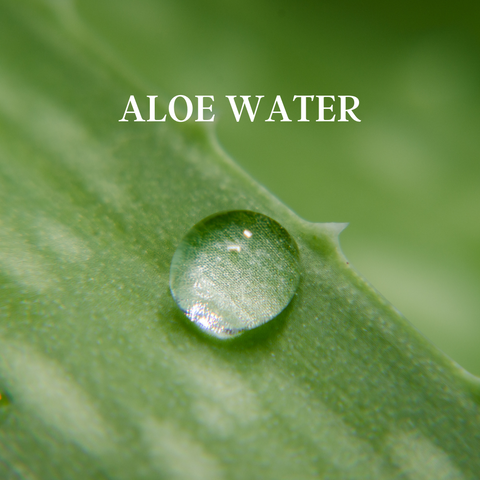 organic aloe is used in our product line in the Hidden Forest for skin hydration and healing