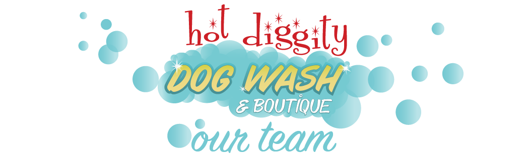 Dog Grooming Dog Washing in Cape Cod Mashpee Dennis Port MA