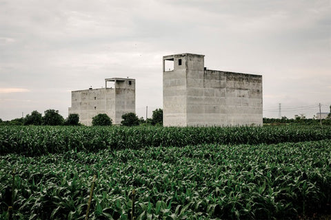 Xin Yan Bird's Nest Farm