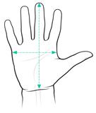 Ciora mitten measurement diagram