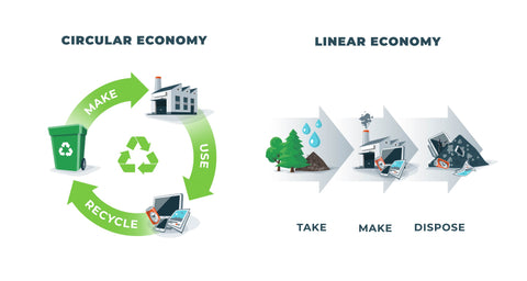 Axiology zero waste, circular economy vs linear economy