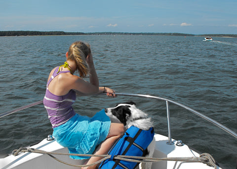 dog on a sailboat