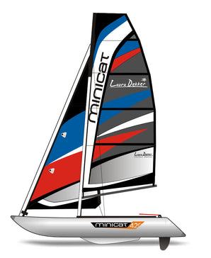 mini catamarans for sale