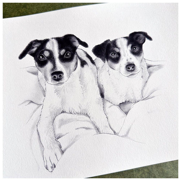 Portrættegning af 2 hunde tegnet af Bettina Lehmann