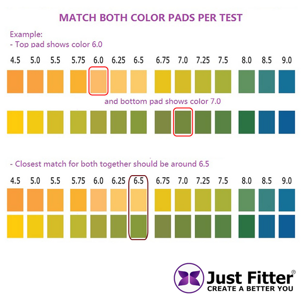 pH Test Strips (3 Bottles) pH Level in the body Just Fitter