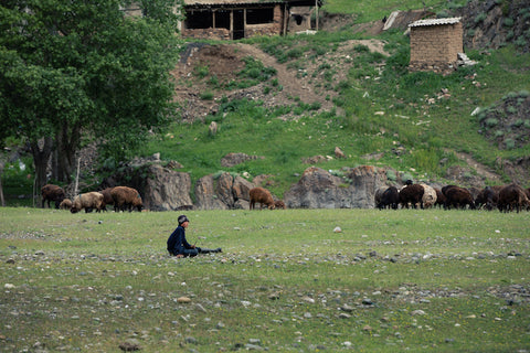 Cashmere and Caring for the land.