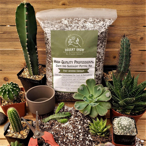 Succulent essentials & tool kit