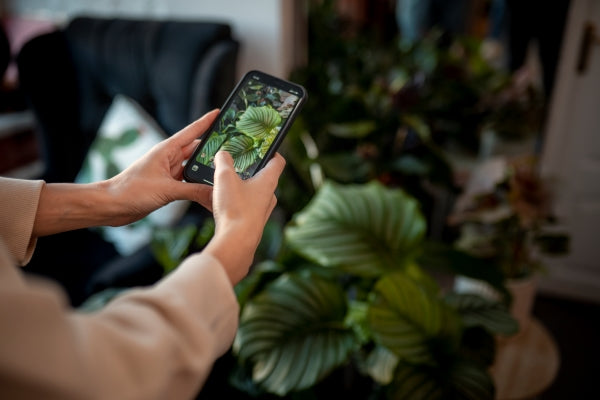 close-up-hands-holding-smartphone