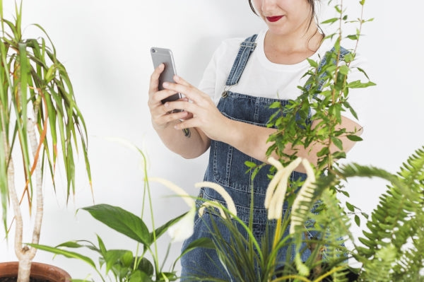 female-florist-taking-photograph-potted-plants-smartphone