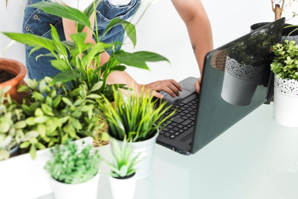 female-florist-using-laptop-with-potted-plants-desk