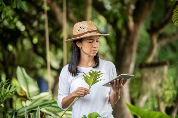 modern-technology-gardening-business-young-woman-with-digital-tablet-working-garden-center-environmentalist-using-digital-tablet-woman-gardening-outside-summer-nature