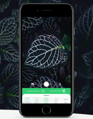 cellphone-app-plantsnap