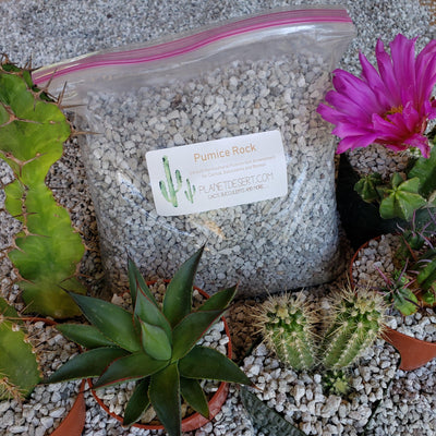 How to Sterilize Pumice & Sand for Cactus Seed Starting (Peyote soil mix) 