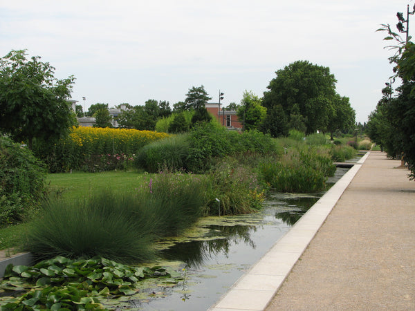 Le Parc de Gerland en trottinette electrique