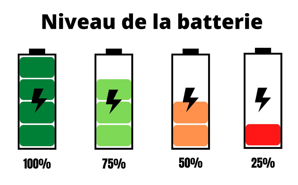 Niveau_Batterie_Trotinette_Electrique_QS1_Display