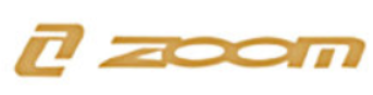 logo zoom