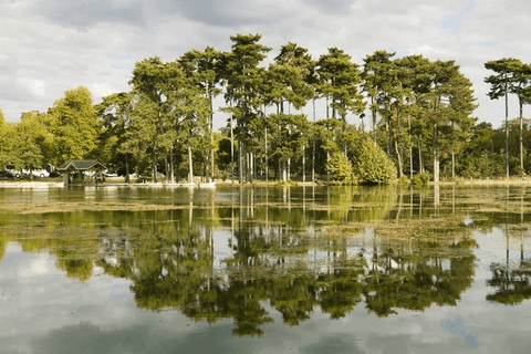 Le Bois de Boulogne en Trottinette Électrique